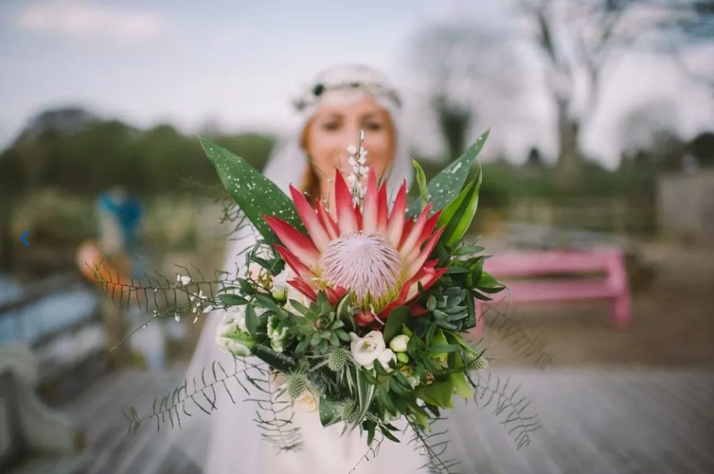 Blooming Amazing Flower Company's Flowers