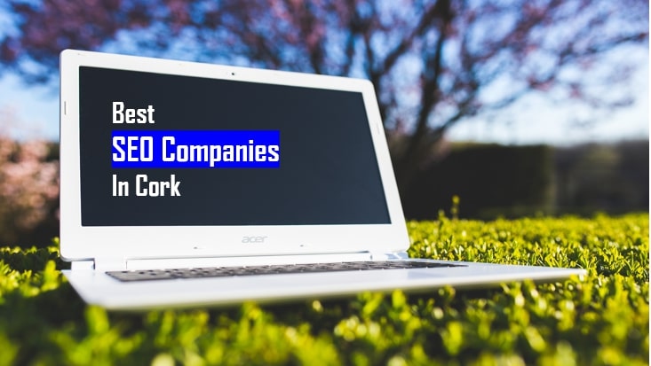 Best SEO in Cork