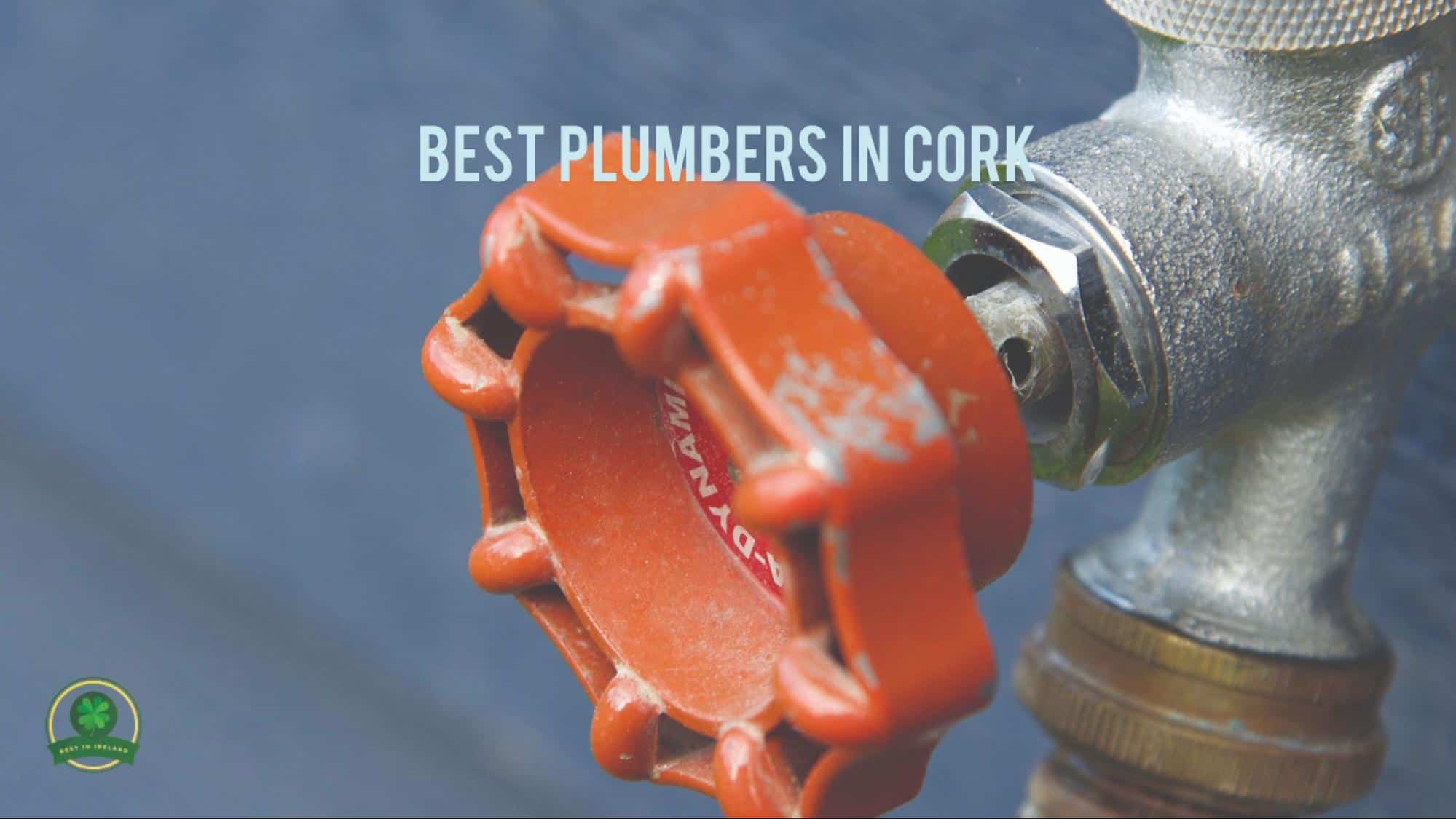 Best Plumbers in Cork