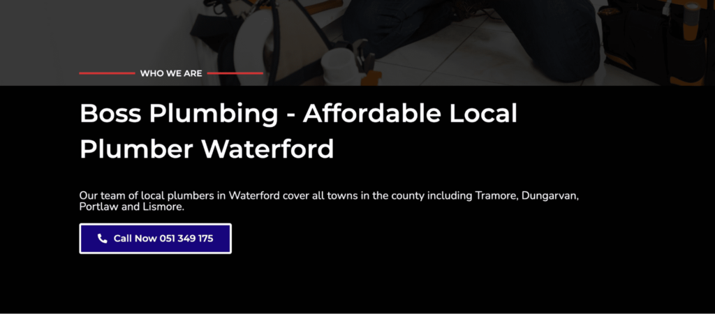 Boss Plumbing's Homepage