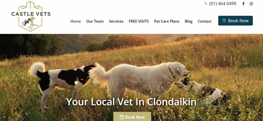 Castle Veterinary Clinic Homepage