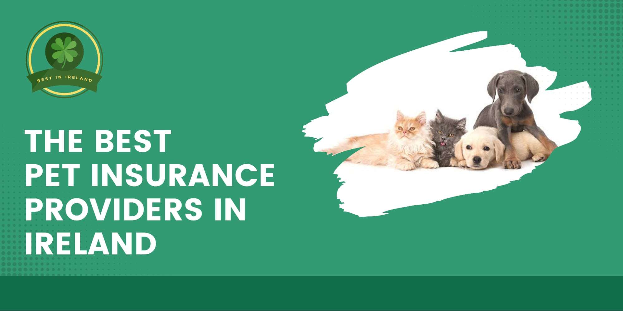 The 5 Best Pet Insurance Providers in Ireland
