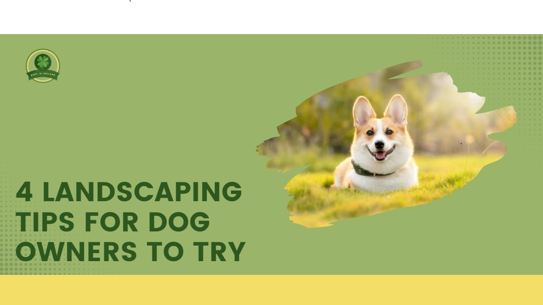 4 Landscaping Tips for Dog Owners to Try