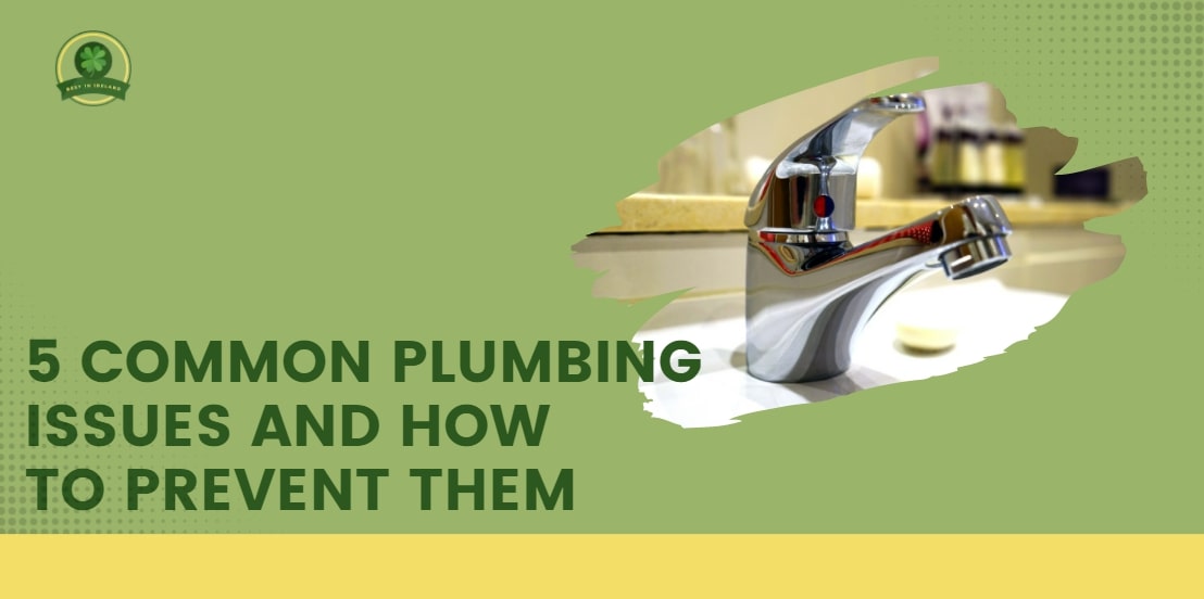 5 Common Plumbing Issues and How to Prevent Them