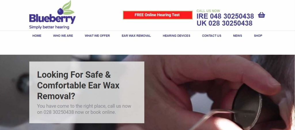 Blueberry Hearing Homepage