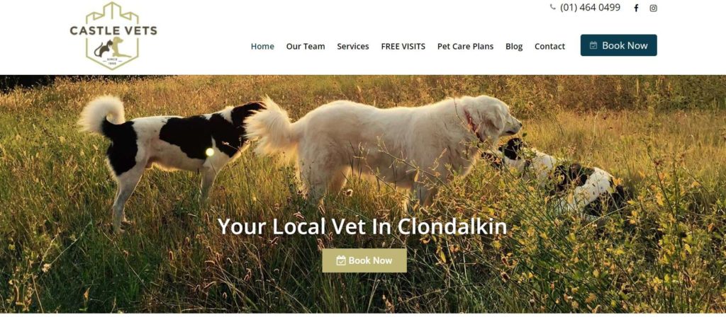 Castle Veterinary Clinic Homepage