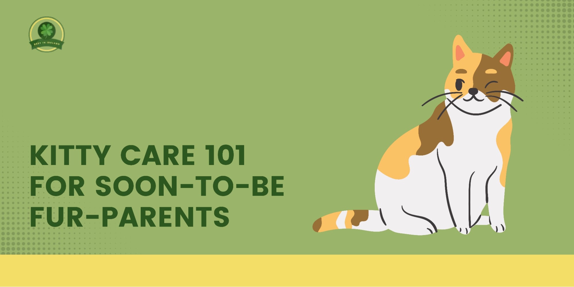 Cat Care 101 for Soon-to-be Fur-parents