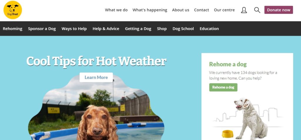 Dogs Trust Ireland Homepage