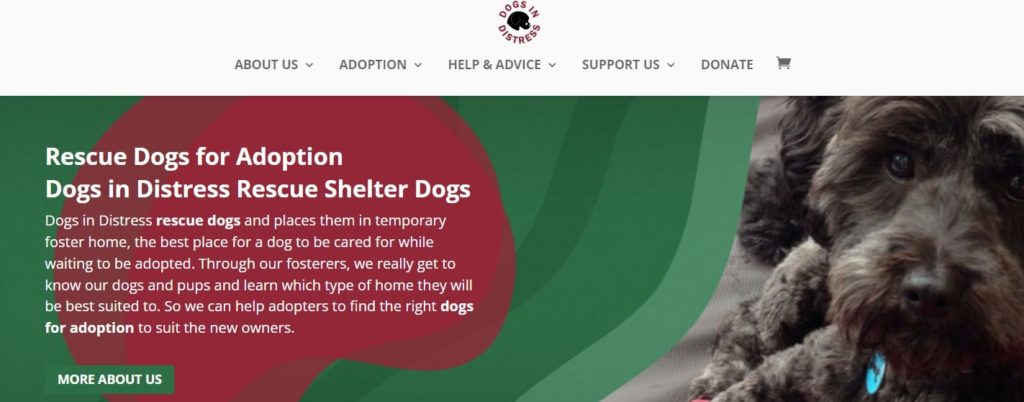 Dogs in Distress - Rescue Dogs for Adoption Homepage