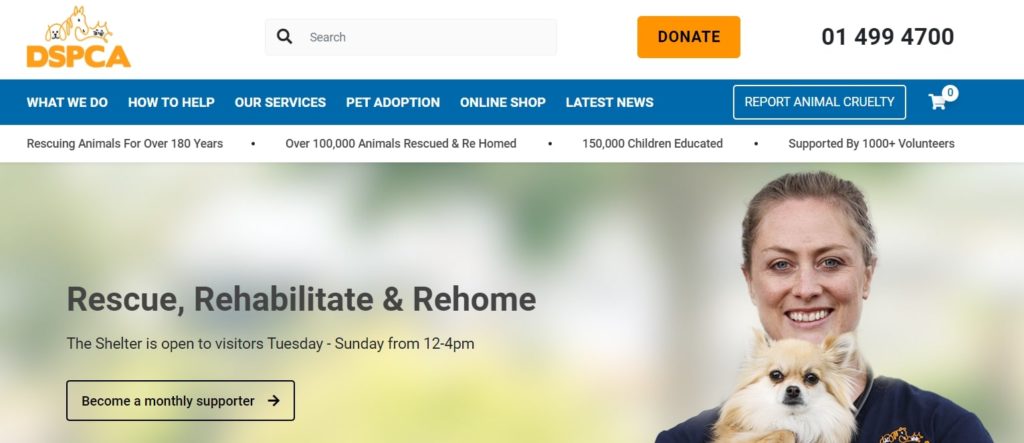 Dublin SPCA Dogs & Cats Home Homepage