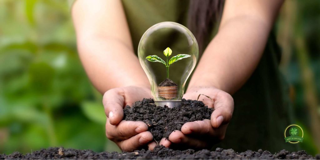 Energy Efficiency