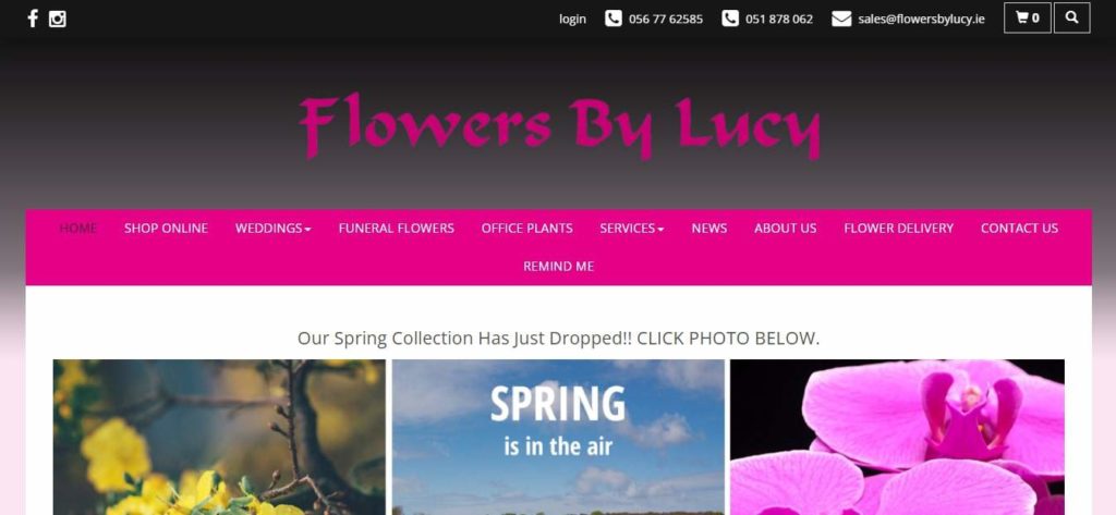Flowers by Lucy Homepage