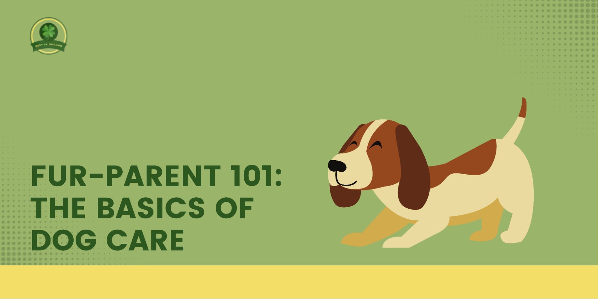 Fur-parent 101 The Basics of Dog Care