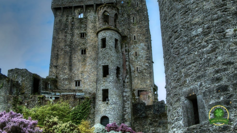 Go back to the medieval ages by visiting a castle