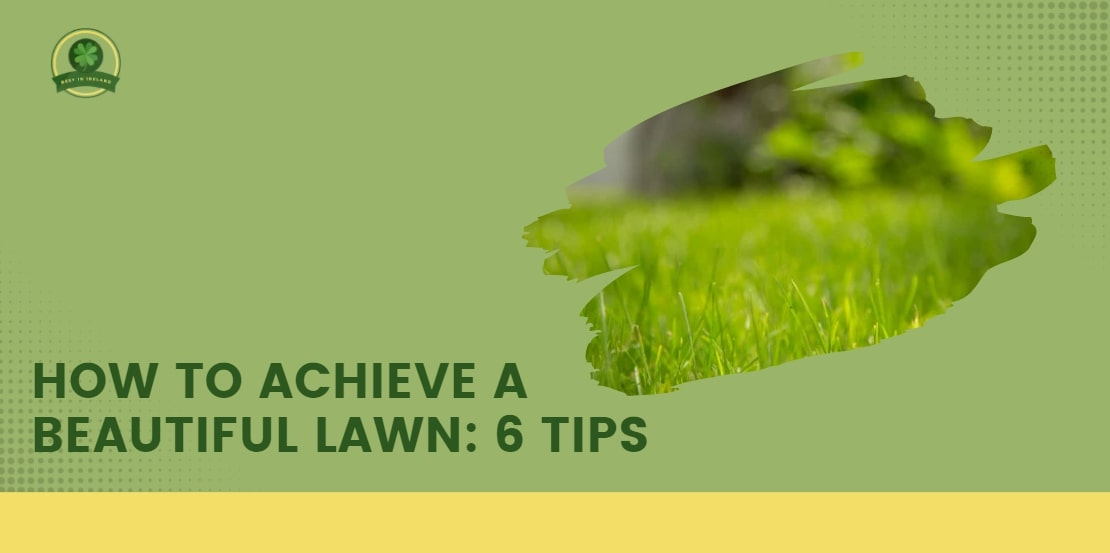 How to Achieve a Beautiful Lawn 6 Tips