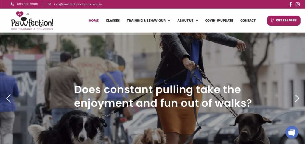 Pawfection Dog Training Homepage