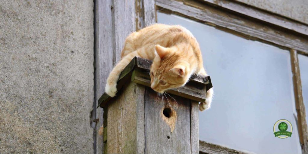 Secure your home