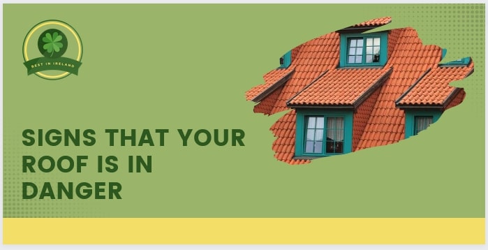 Signs that Your Roof is in Danger