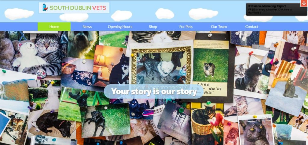 South Dublin Vets Homepage