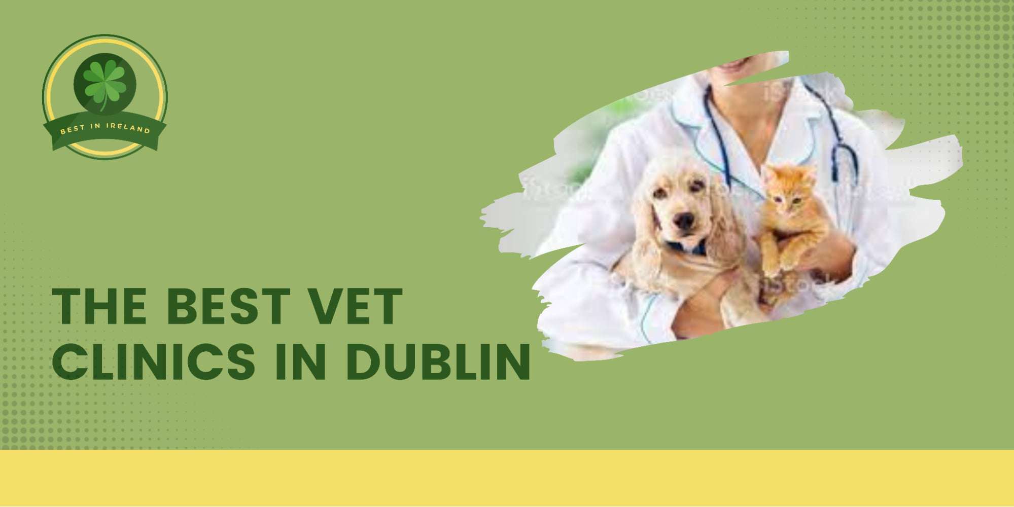 The 5 Best Vet Clinics in Dublin