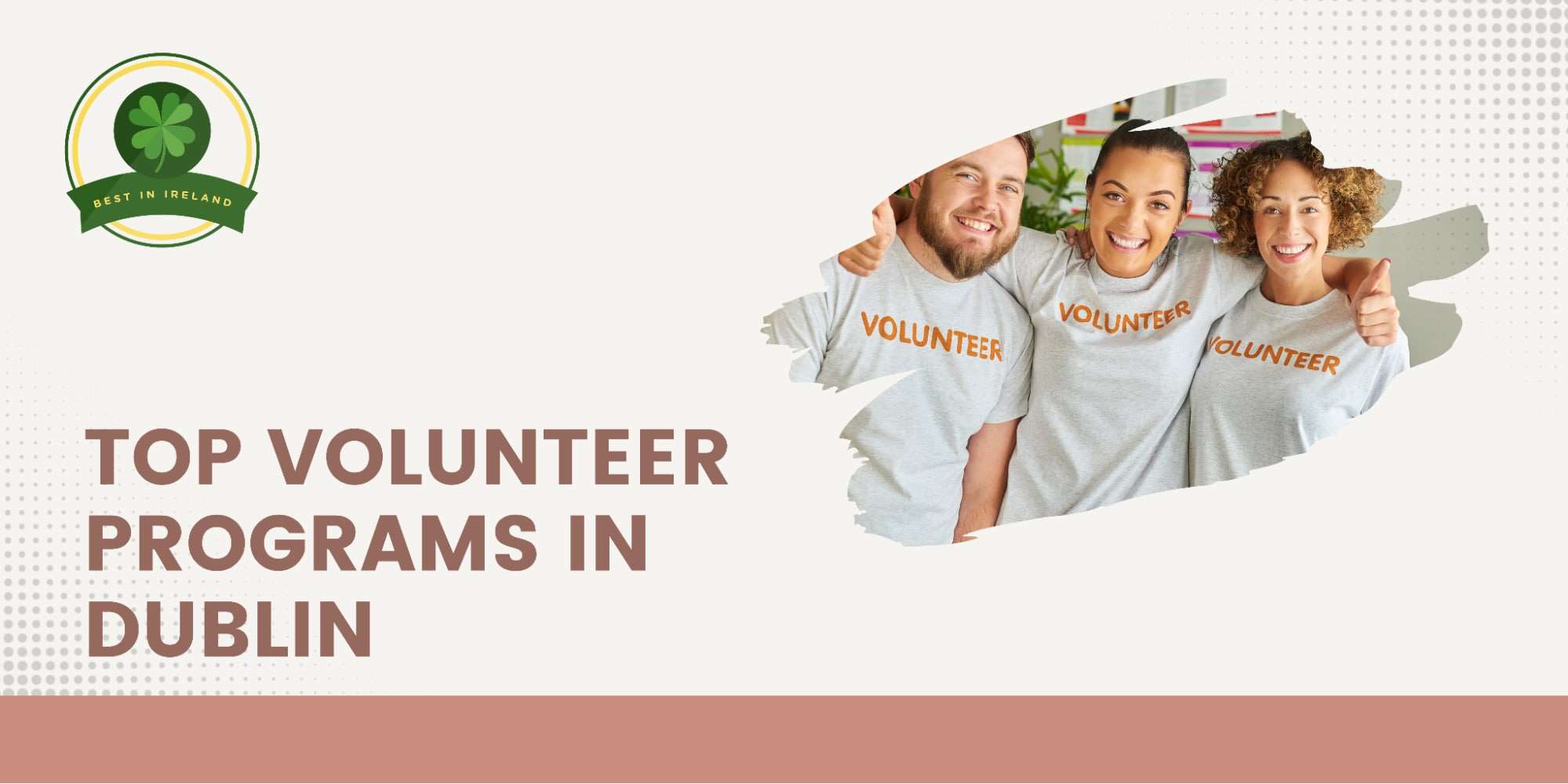 Top 5 Volunteer Programs in Dublin