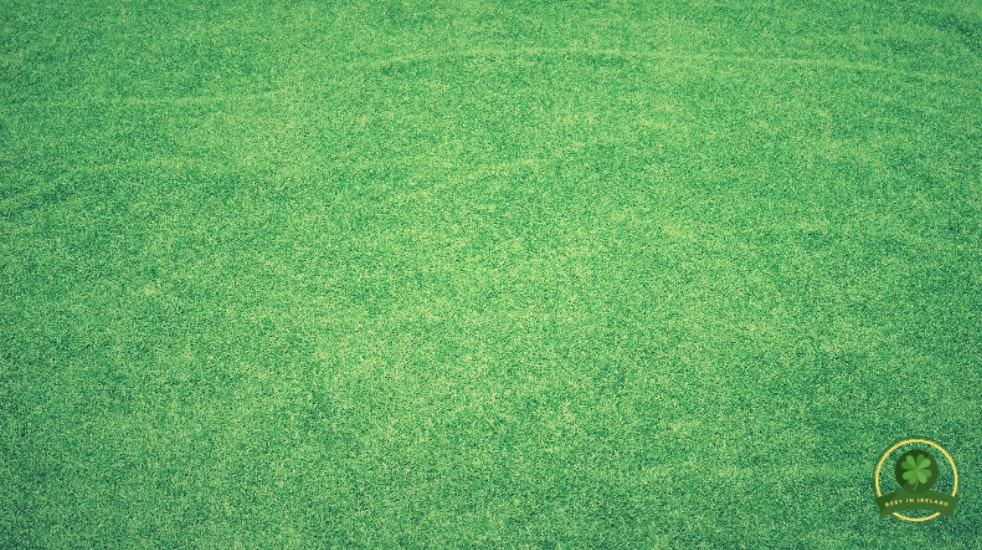 Try artificial grass
