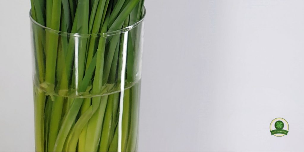 Use a squeaky clean vase