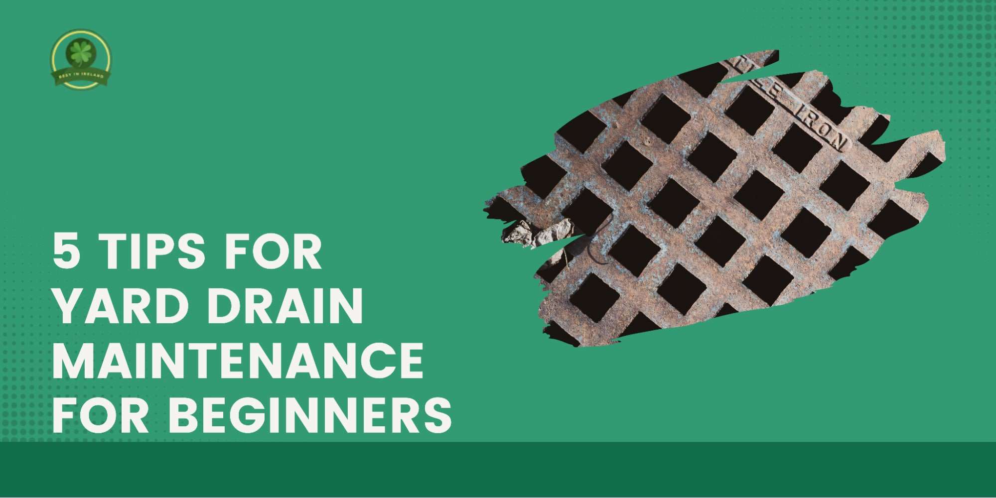Yard Drain Maintenance for Beginners