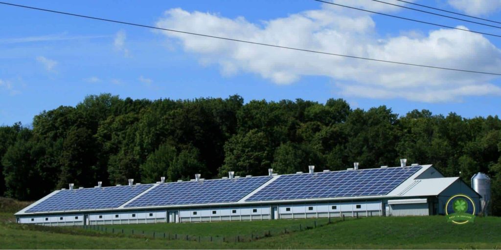 You’ll need quite a lot of panels to see a dent in your electricity bill