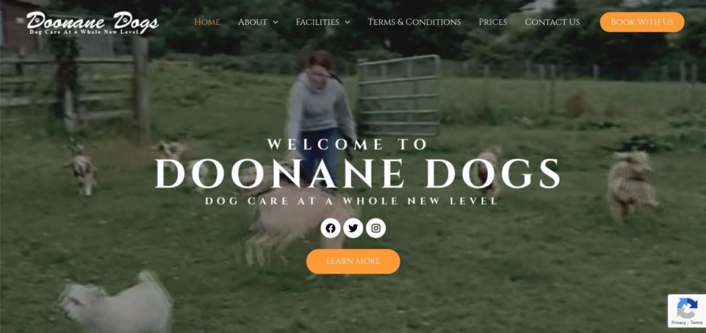 Doonane Dogs Homepage