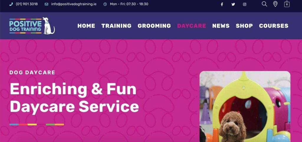 Positive Dog Training Homepage