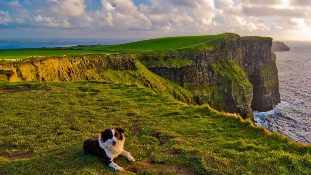 Cliffs of Moher