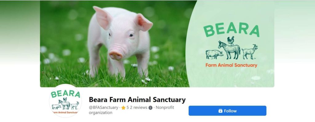 Beara Farm Animal Sanctuary