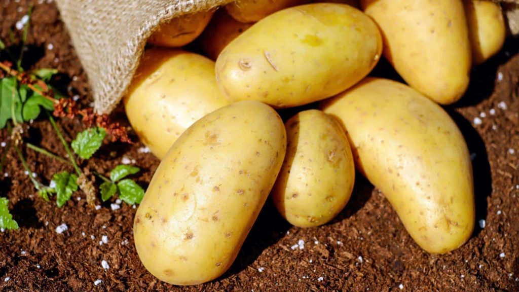 The Irish Are Potato Lovers