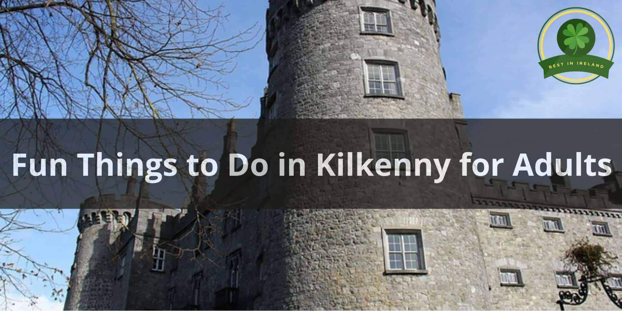 8 Fun Things to Do in Kilkenny for Adults