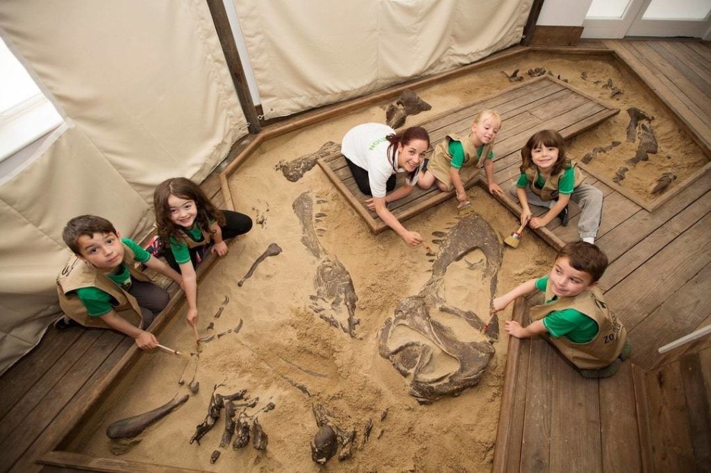 Exploring Zoos with Toddlers