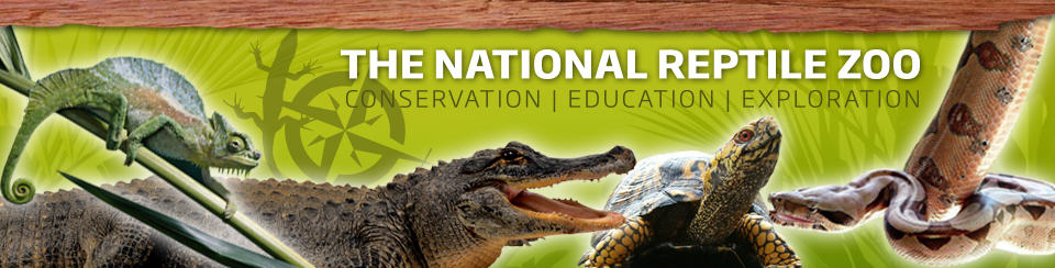 Learn About Reptiles at the National Reptile Zoo