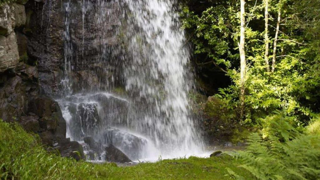 See the Kilfane Glen & Waterfall