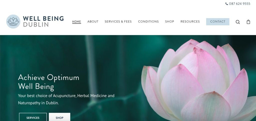 Well-Being-Dublin's Homepage