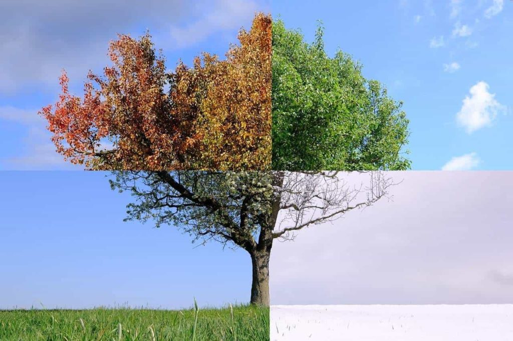 Ireland Has a Temperate Climate