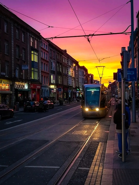Trams