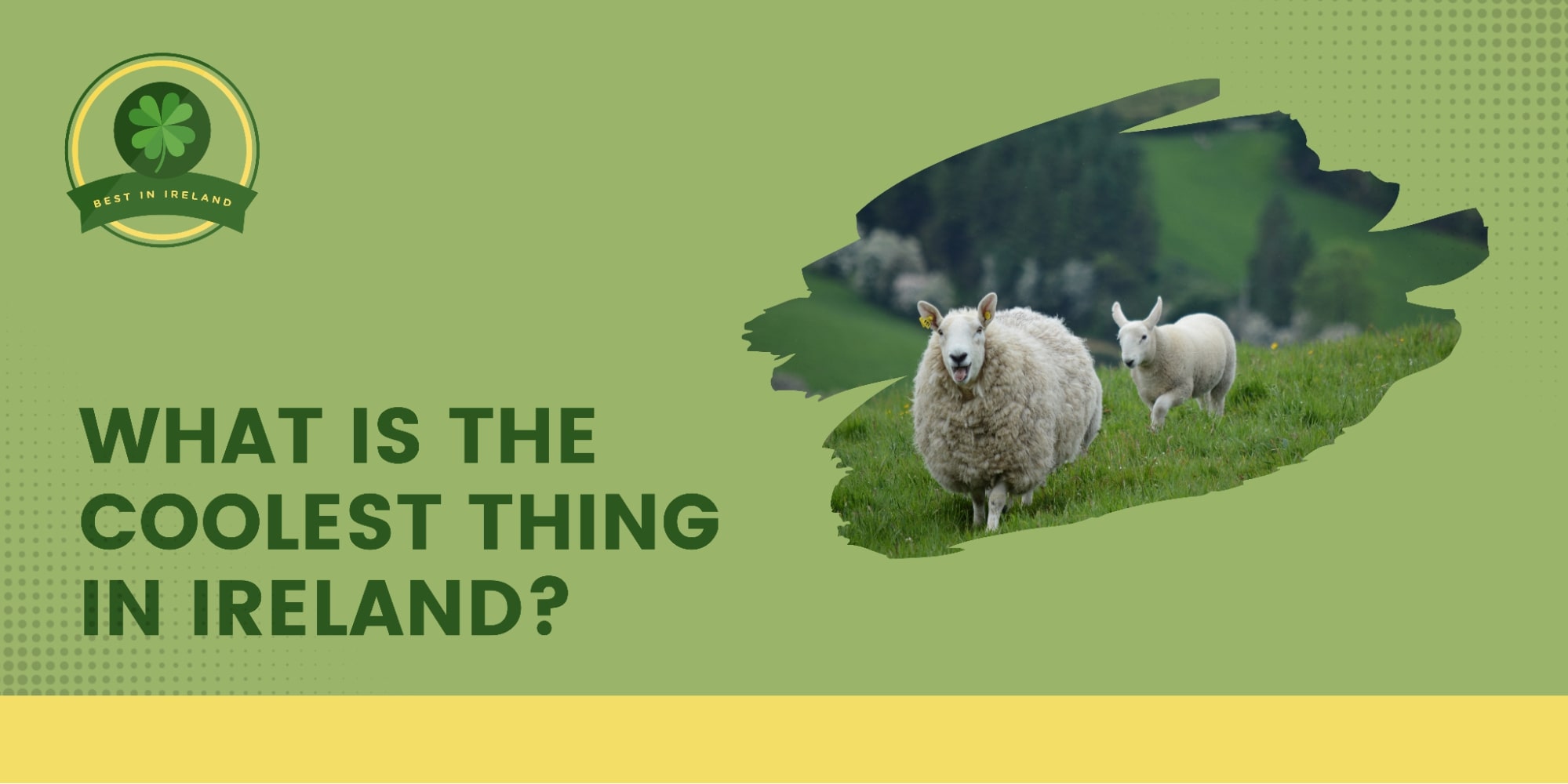 What Is the Coolest Thing in Ireland