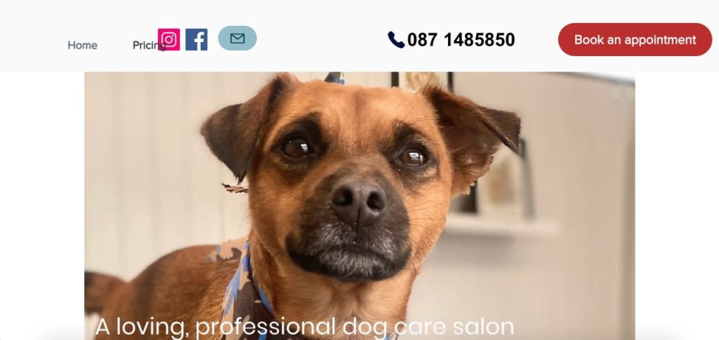 Bruno’s Waggly Tail Spa's Homepage