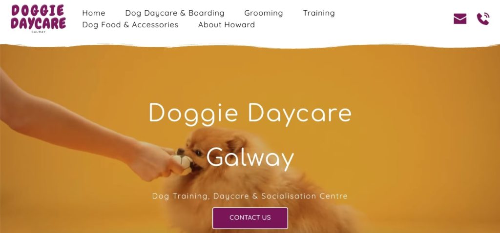 Doggie Daycare Galway's Homepage