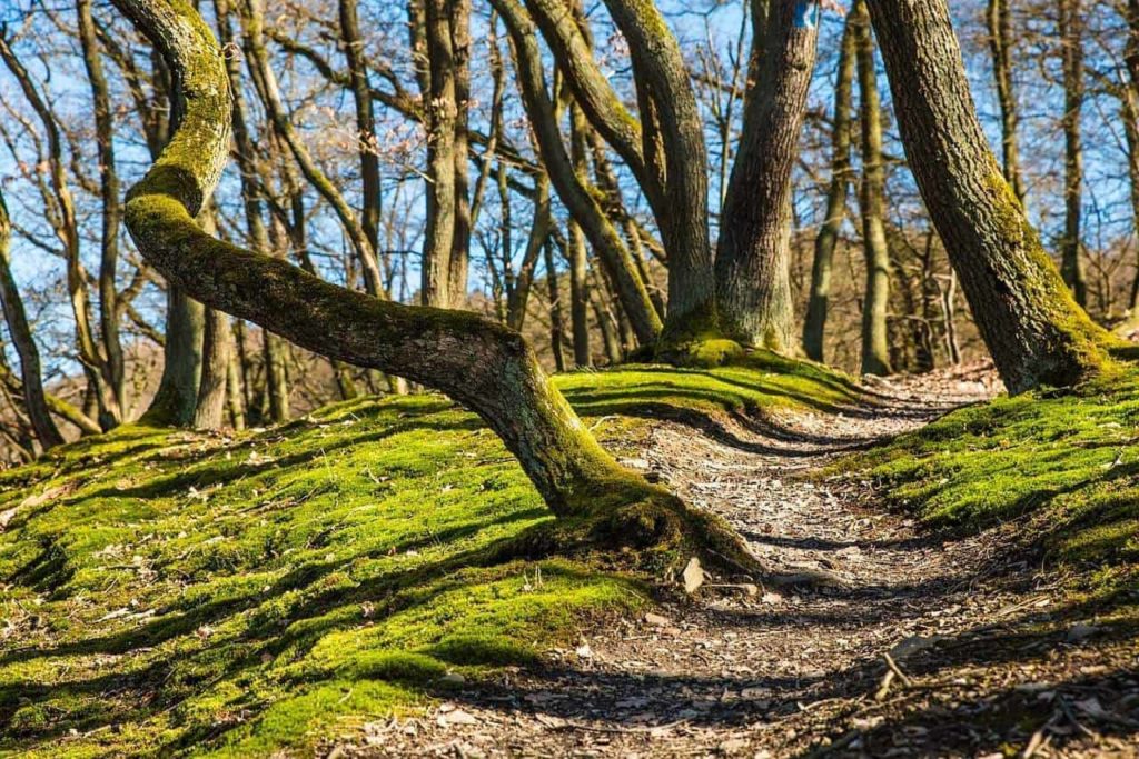 Dublin Offers a Variety of Outdoor Activities