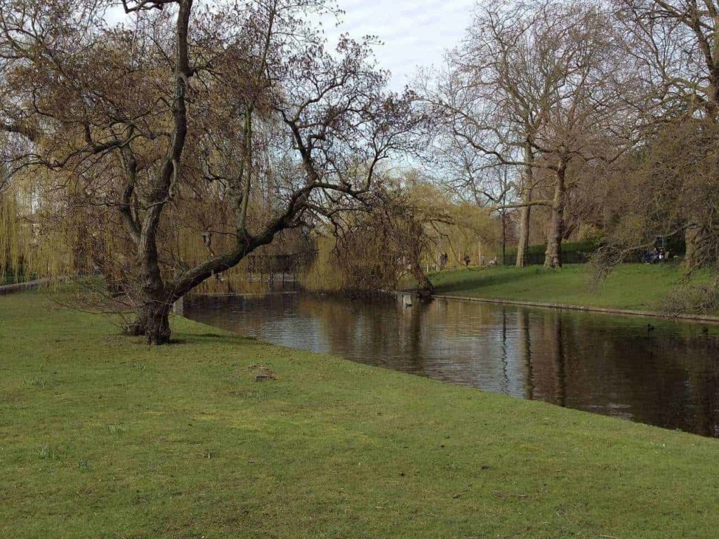Ireland and the UK both have plenty of green spaces in urban areas