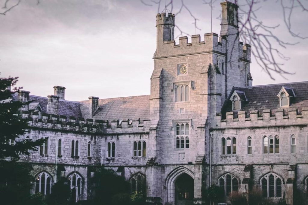 Are universities in Ireland free for international students