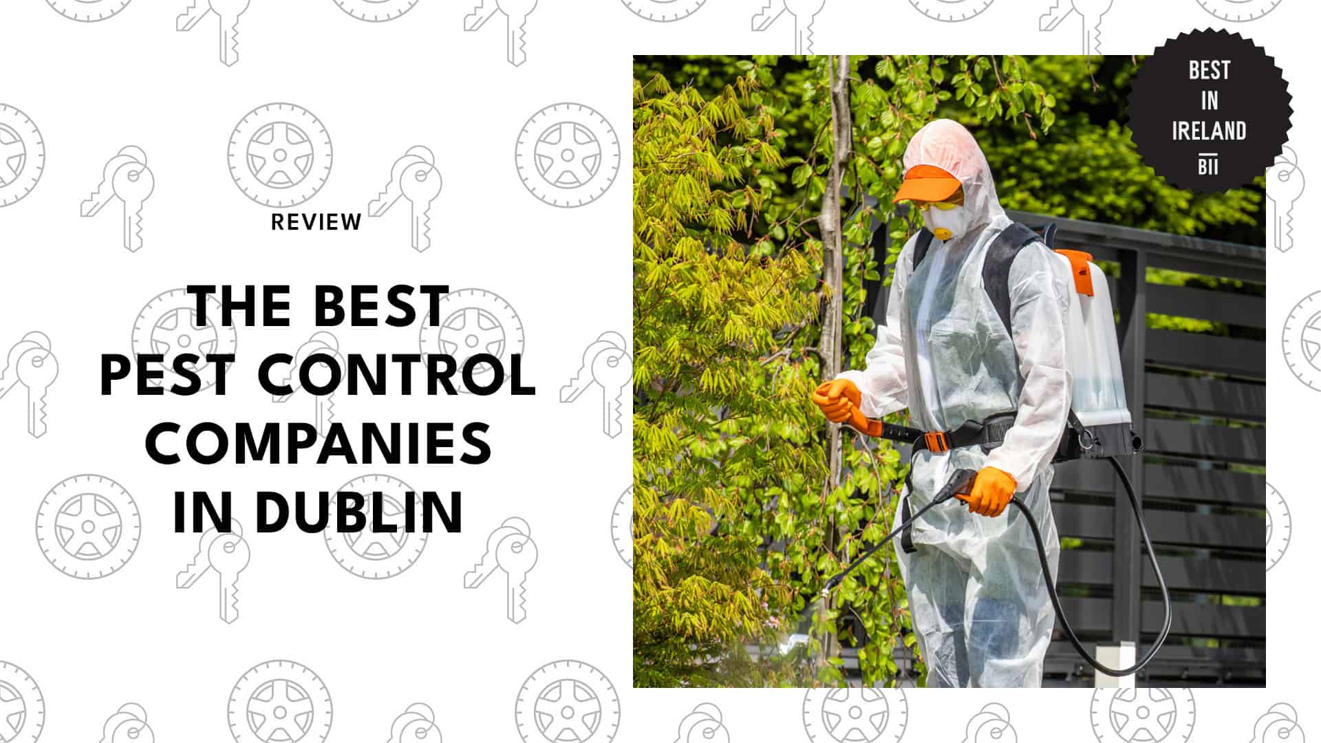 Best Pest Control Dublin