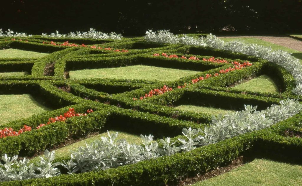 Celtic Knot Garden