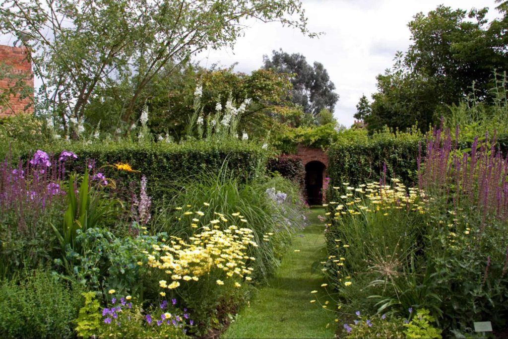 Irish Cottage Garden